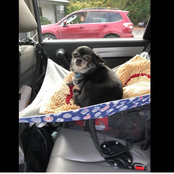 NEW Comfortable Hanging Adjustable Pet Hammock Bed for Cats/Small Dogs/Rabbits - Picture 8 of 13